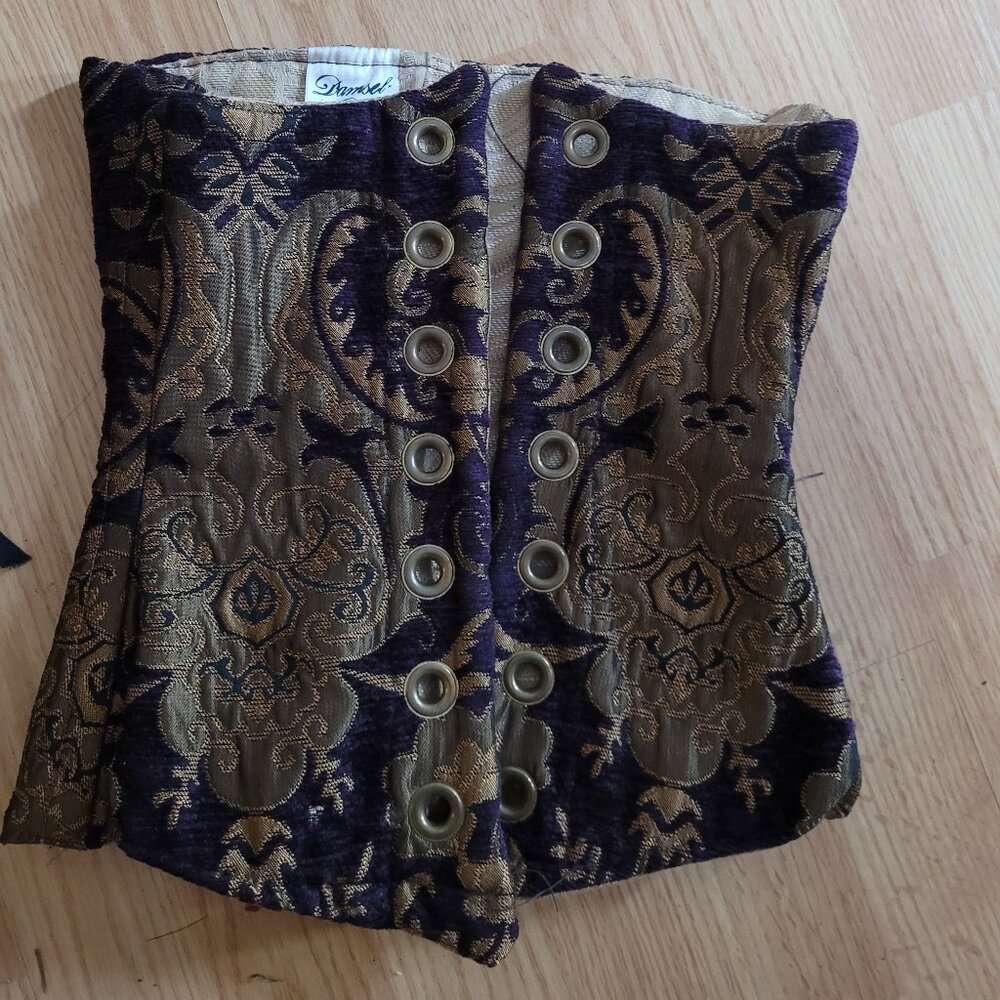 Damsel In A Dress Purple and Brown Corset